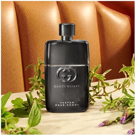 gucci guilty pour homme season|gucci guilty for men fragrantica.